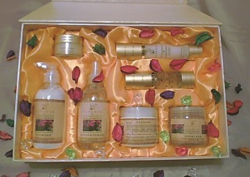 生活美容服務 淮南市天辰商貿為您的健康與美麗保駕護航