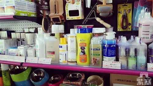 紫塞明珠，安心之選——承德私寵訂制寵物美容服務